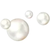 🐚