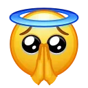🙏