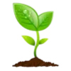 🌱
