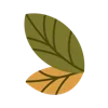 🍃