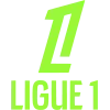 🇫🇷