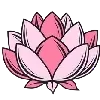 🌺