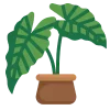 🍀