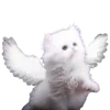 🪽