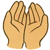 🤲