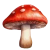🍄