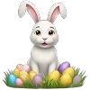 🐰