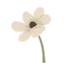 🌼