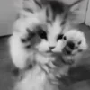 🥺