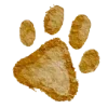 🐾