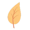 🍂
