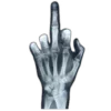 🤍