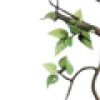 💚