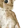 🐇