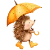 🦔