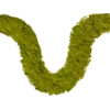 〰️