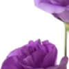 💜