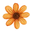 🌻