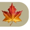 🍁