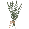 🌿