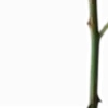 🤛