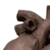 🫀