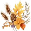 🍂