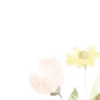 🐇