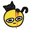 🐈‍⬛️