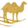 🤩