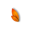 🍂