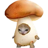 🍄