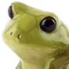 🐸