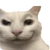 😼