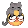 🐈‍⬛