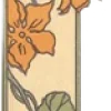 🤎