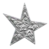 🌟