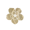 ⚪️