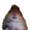 🐹