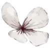 🌸