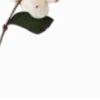 🧓