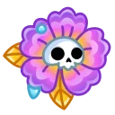 🌺