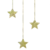 🌟