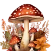 🍄