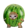 🍉