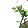 💚