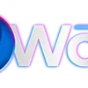 🌐