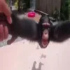😨