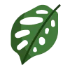 🍀