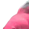 🩷
